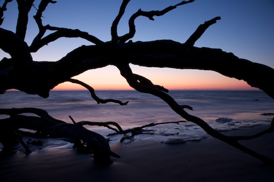 Bark;Beach;Beaches;Blue;Branch;Branches;close of day;Contour;Drift;driftwood;dusk;evening;eventide;Form;Herbaceous;last Light;Ocean;Orange;Outline;Plant;Profile;Purple;Sea;seafoam;Shadow;Shape;Shore;Shoreline;Silhouette;Sky;sun;sunset;Tree;Tree Trunk;Trees;Trunk;Water;Waves;whitewater;Yellow